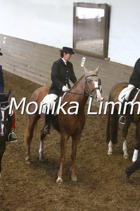 009M4028_Bellapianta_Dressur L.JPG